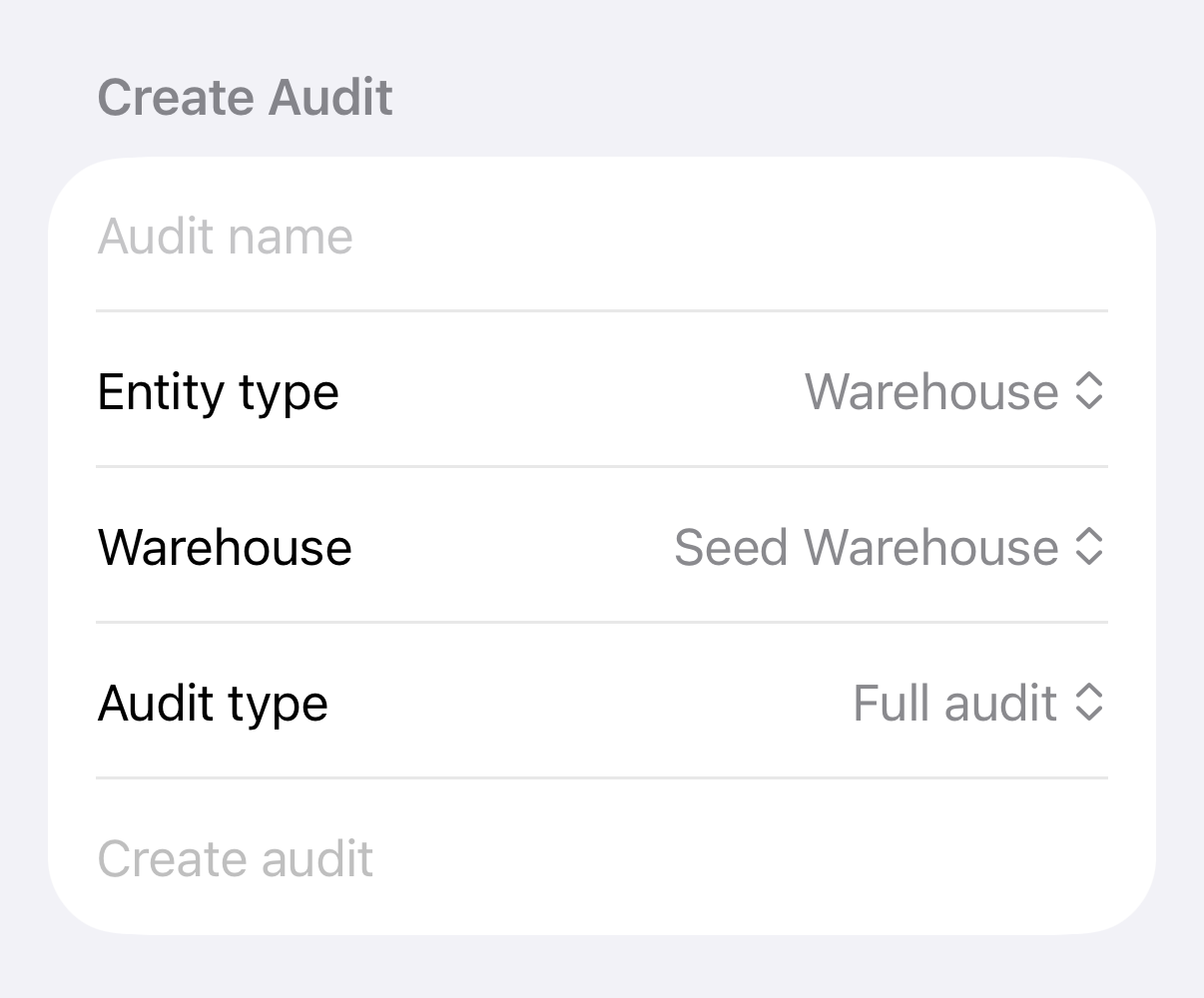 5S Tracker native Create Audit form with synthetic warehouse data.